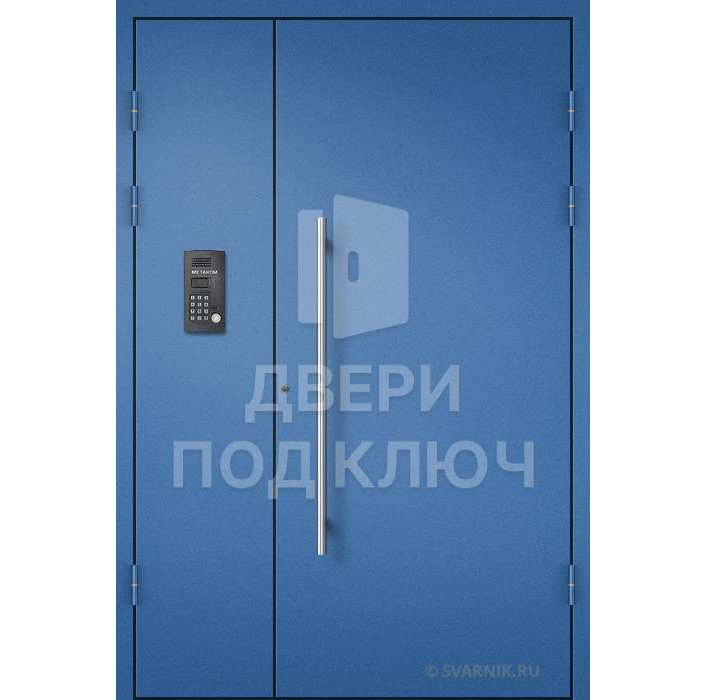Двустворчатая дверь с порошковым окрасом ДПК-13839